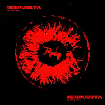 Respuesta by Skrack MH