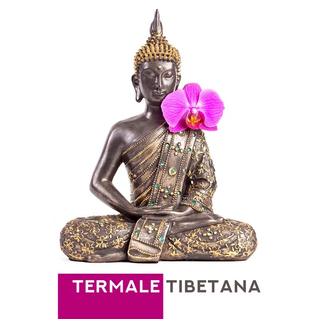 Termale tibetana (Campane tibetane con suoni della natura per massaggi e relax)