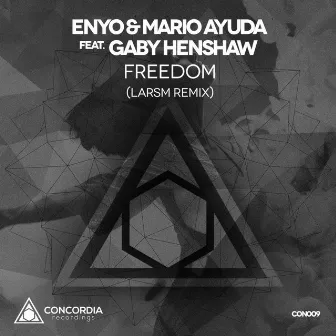 Freedom (LarsM Remix) by Gaby Henshaw