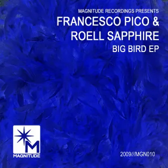 Big Bird EP by Roell Sapphire