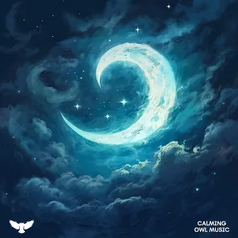 Lullabies In Moonlight by Baby Owl Music