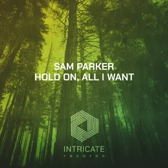 Hold On, All I Want by Sam Parker