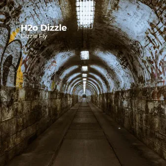 H2o Dizzle by Dizzle Fly