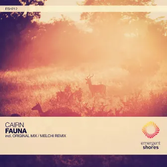 Fauna by Cairn