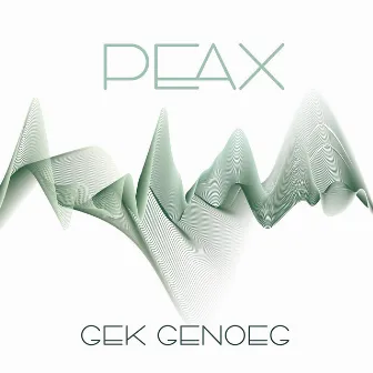 GEK GENOEG by Ties Mellema