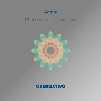 Missing Words / Experiments by Antrim