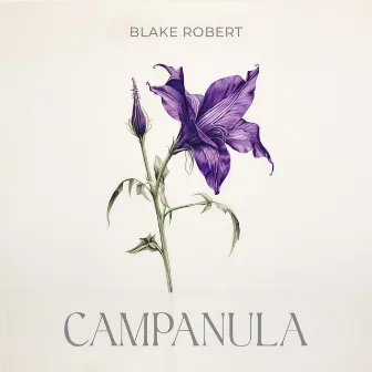 Campanula by Blake Robert