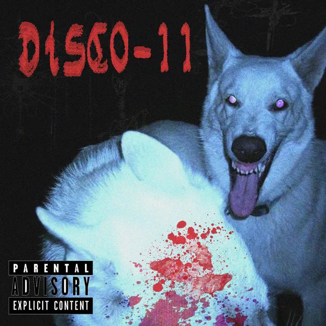 Disco 11