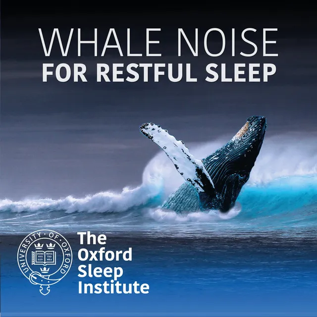 Whale Noise for Restful Sleep, Pt. 1