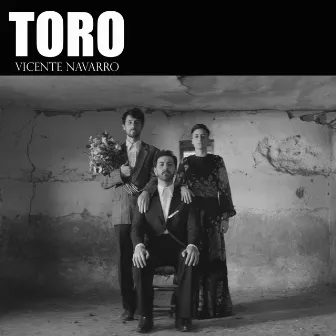 Toro by Vicente Navarro