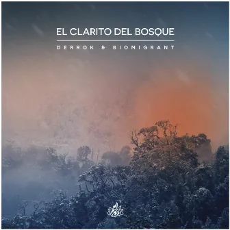 El Clarito del Bosque by Biomigrant