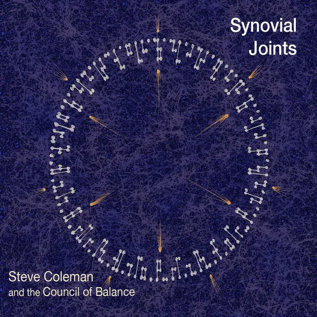 Synovial Joints