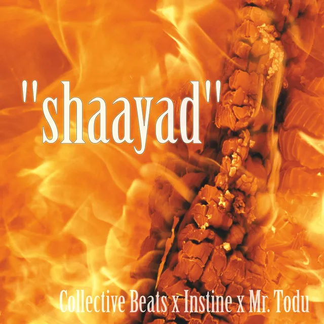 shaayad