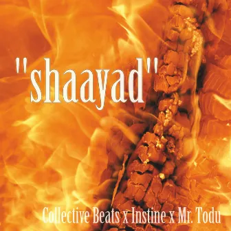 shaayad by Collective Beats