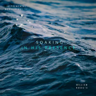 Soaking In His Presence, Vol. 17 by William Augusto