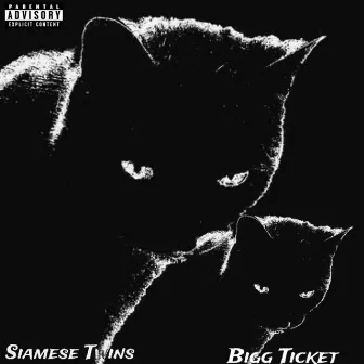 Siamese Twins by Bigg Ticket