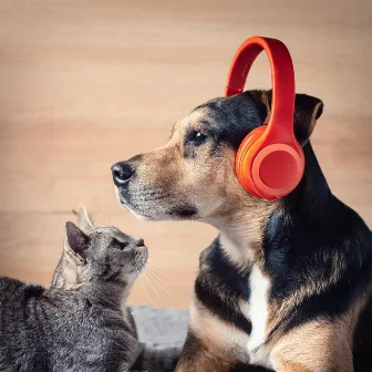 Pet Music: Harmonious Sounds for Calm by Pet Vibes