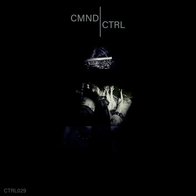 CTRL029