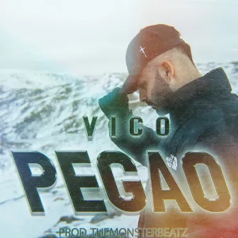 PEGAO by Vico