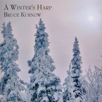 A Winter’s Harp by Bruce Kurnow