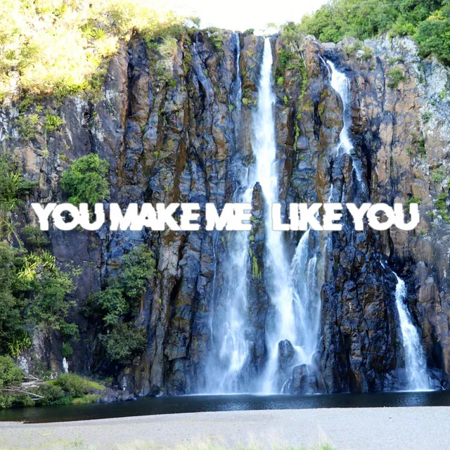 You Make Me Like You