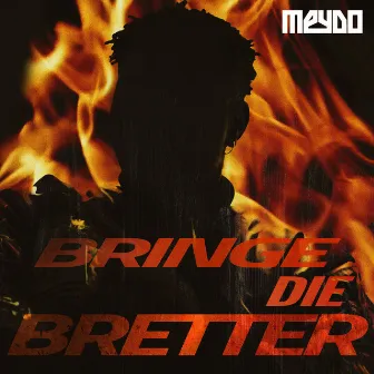 Bringe die Bretter by Meydo