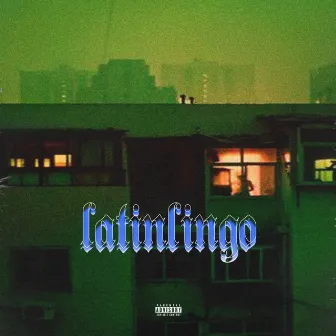 Latinlingo by Blind