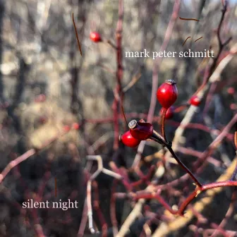 Silent Night by Mark Peter Schmitt