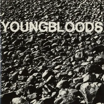 Rock Festival [Live] by The Youngbloods