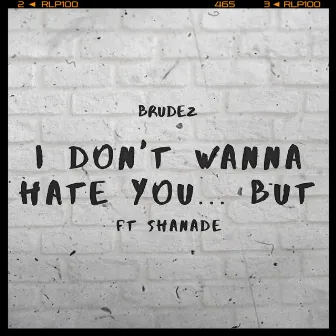 I Don't Wanna Hate You...But by Brudez