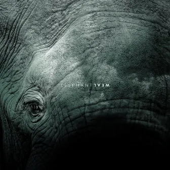 Elephant by Weal