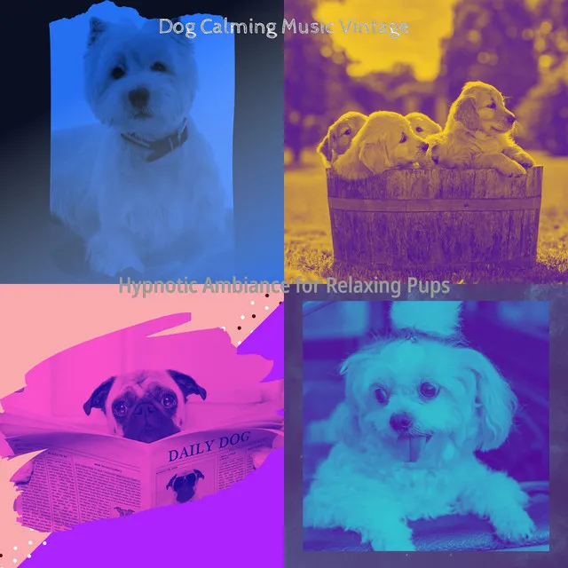 Dog Calming Music Vintage