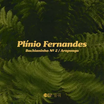 Bachianinha No. 2 / Araponga (Arr. for Guitar by Sérgio Assad) by Plínio Fernandes