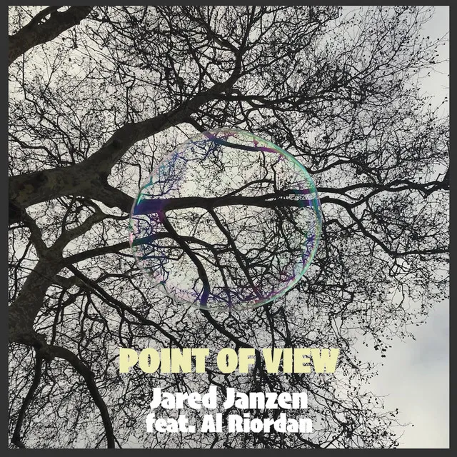 Point of View