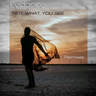 Not What You See (Remixes) by My Evidance