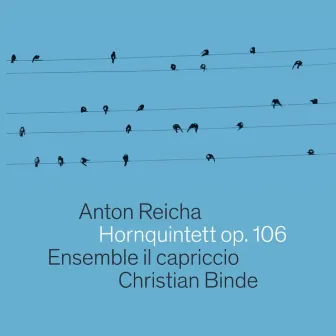 Grand Quintet in E, Op. 106 by Ensemble il capriccio