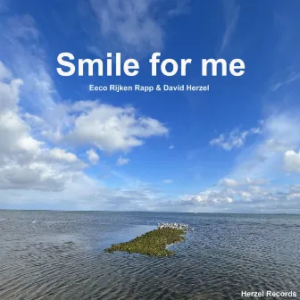 Smile for Me (Live) by David Herzel