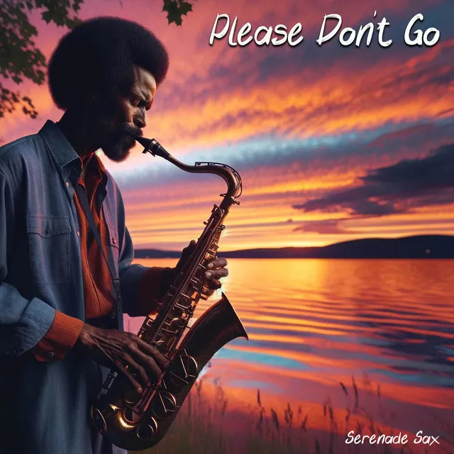 Please Don't Go (Sax Cover)