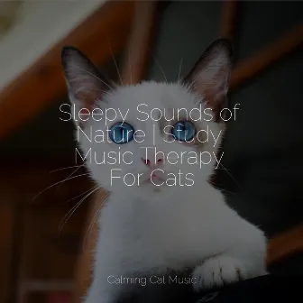 Sleepy Sounds of Nature | Study Music Therapy For Cats by Music for Cats Peace