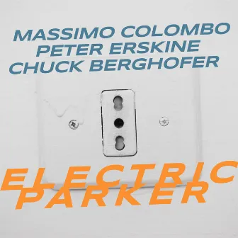 Electric Parker by Massimo Colombo