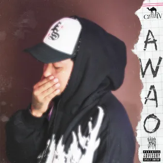 AWAO by japo