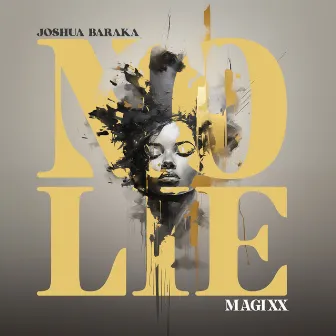 No Lie by Joshua Baraka