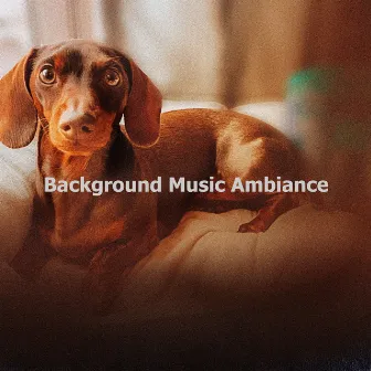 Background Music Ambiance by Dog Music Planet