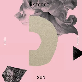 Little Pieces by Secret sun