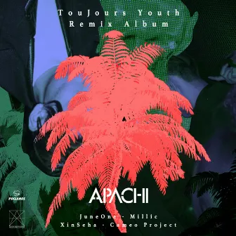 TouJours Youth Remix Album by Unknown Artist