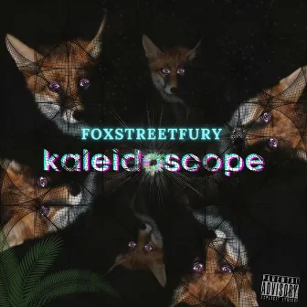 Kaleidoscope by FoxStreetFury