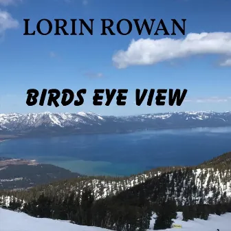 Birds Eye View by Lorin Rowan