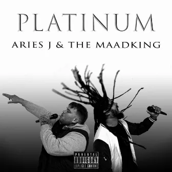 PLATINUM by Aries J