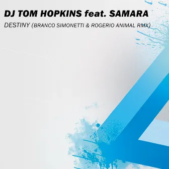 Destiny by Dj Tom Hopkins