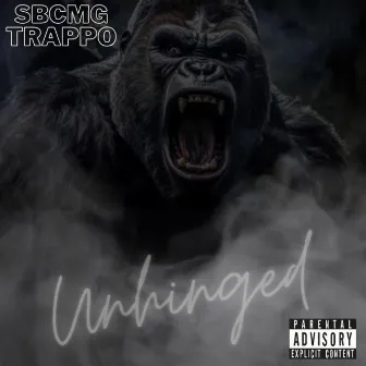 Unhinged by SBCMG TRAPPO